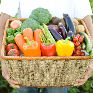 Indonesia AI, AI di Indonesia - Image Classification